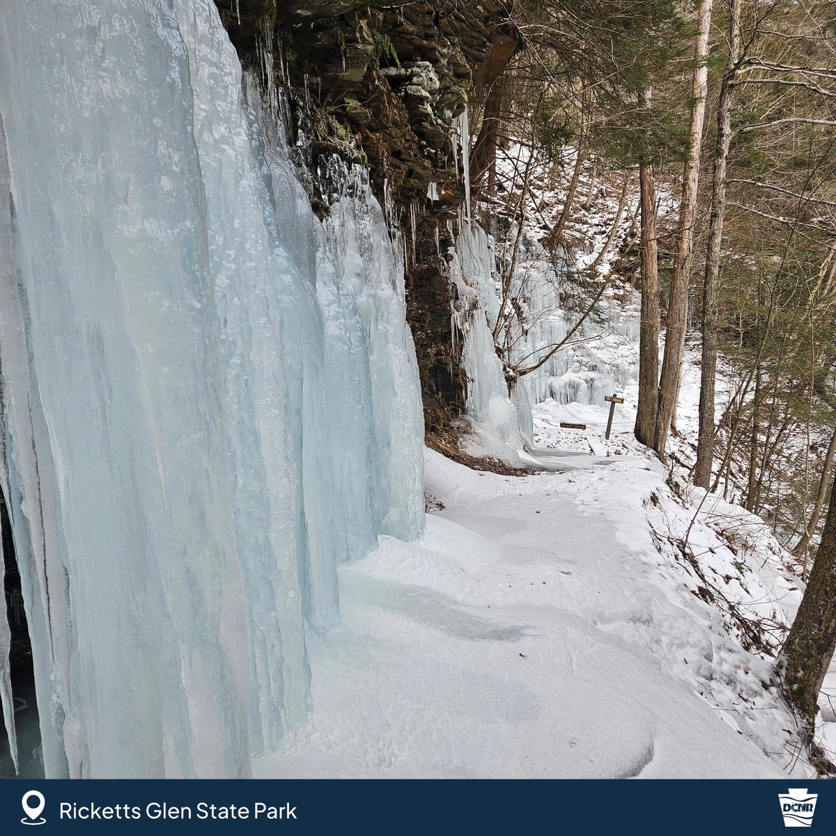 DCNRnews's tweet photo. ❄️ Winter brought some beautiful sights and sounds to Pennsylvania's state parks and forests this year! 

Where's your favorite place to enjoy the outdoors? https://t.co/Prp7y2nkBZ