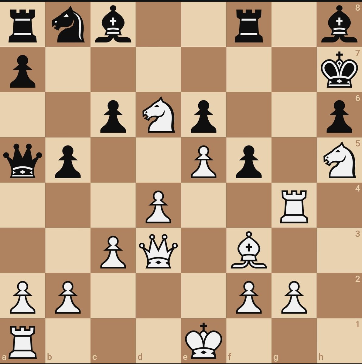 Chess Gym HQ tweet media