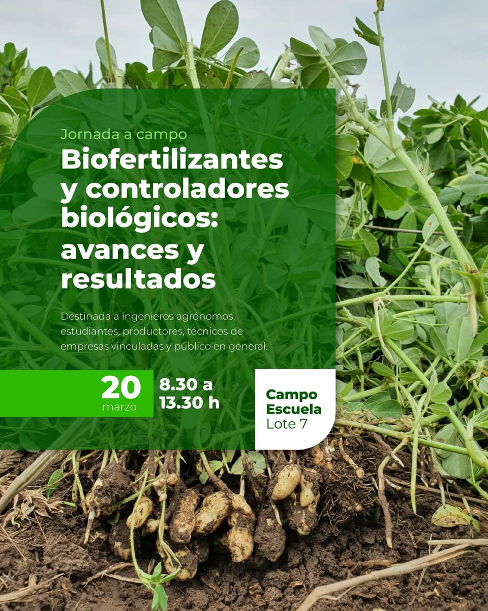 fcaunc's tweet photo. 📌JORNADA A CAMPO DE BIOFERTILIZANTES Y CONTROLADORES BIOLÓGICOS: AVANCES Y RESULTADOS

📆 20 de marzo 2025
🕣 08:30 h
📍Campo Escuela de la FCA UNC - Camino a Capilla de los Remedios Km 15 y 1/2, Lote 7

✍🏼 Inscripciones: https://t.co/anz21OZXx6 https://t.co/NSCloxWZ9s