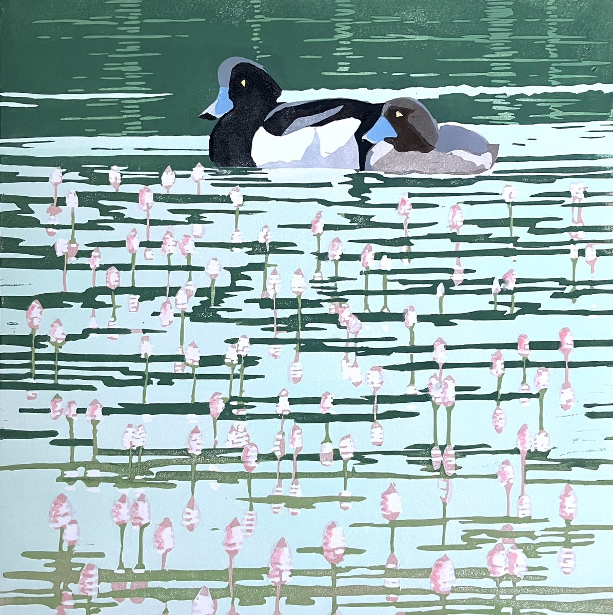Lisa Hooper SWLA (@lisahooper20) on Twitter photo My newest reduction linocut of Tufted ducks on a loch in the Cairngorms National Park <a href="/swlanaturaleye/">SWLA</a> My newest reduction linocut of Tufted ducks on a loch in the Cairngorms National Park <a href="/swlanaturaleye/">SWLA</a>