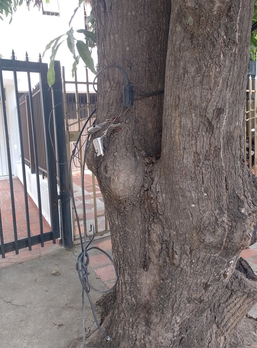 MiryamFadul's tweet photo. Excelente manera de resolver problemas, que vergüenza @ClaroColombia. NO resuelven el problema, no restauran el servicio, pero dejan desechos contaminantes "adornando" el palo de mango. @aralfa21 @Jnez_Fadul https://t.co/nuO93pLMLd