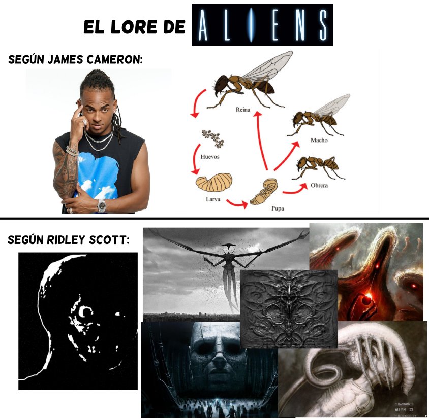 HORMIGA_RETURNS's tweet image. 