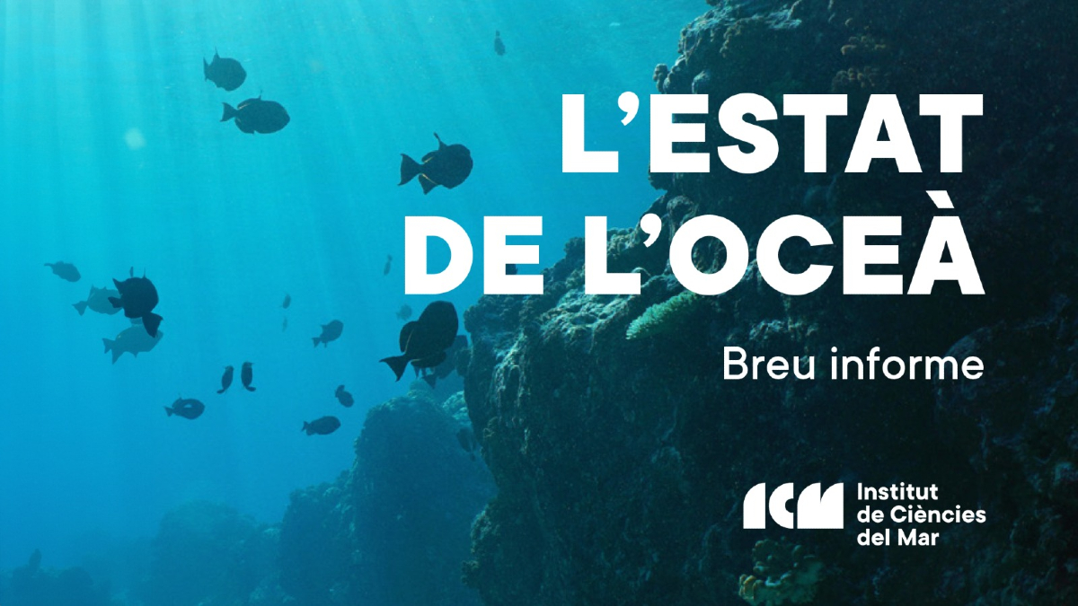 🌊 No et perdis la presentació de l'informe "Estat de l'Oceà"!

🗞️ El document, de caràcter divulgatiu, analitza l'estat del mar català i proposa solucions als reptes que enfronta basades en l'evidència científica.

📅 12 de març, 11h (ICM-CSIC)

+ info: icm.csic.es/ca/esdevenimen…