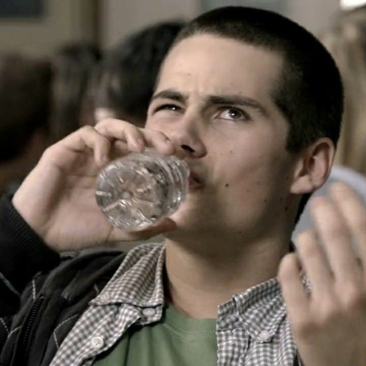 malydiira's tweet image. i do not see the appeal of stallison being romantic like these are twins separated at birth