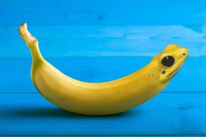 Delta6870 tweet media