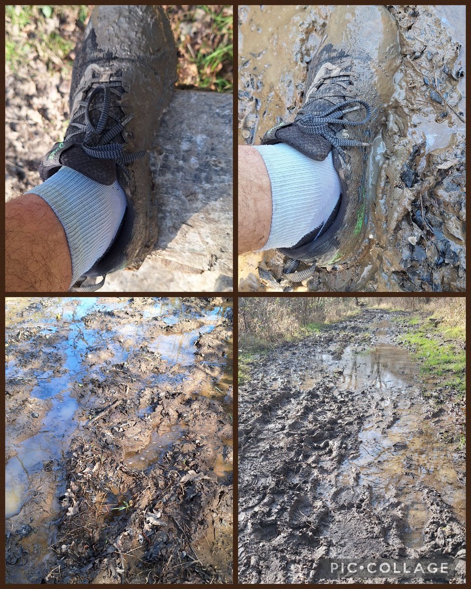The ☀️is out - however, it's still very muddy in the woods. Put the trail trainers on and enjoyed the muddy adventure!! #ukrunchat #runningviews #calvesofsteel #ThursdayMotivation #NatureBeauty #muddy #muddyrun #running
