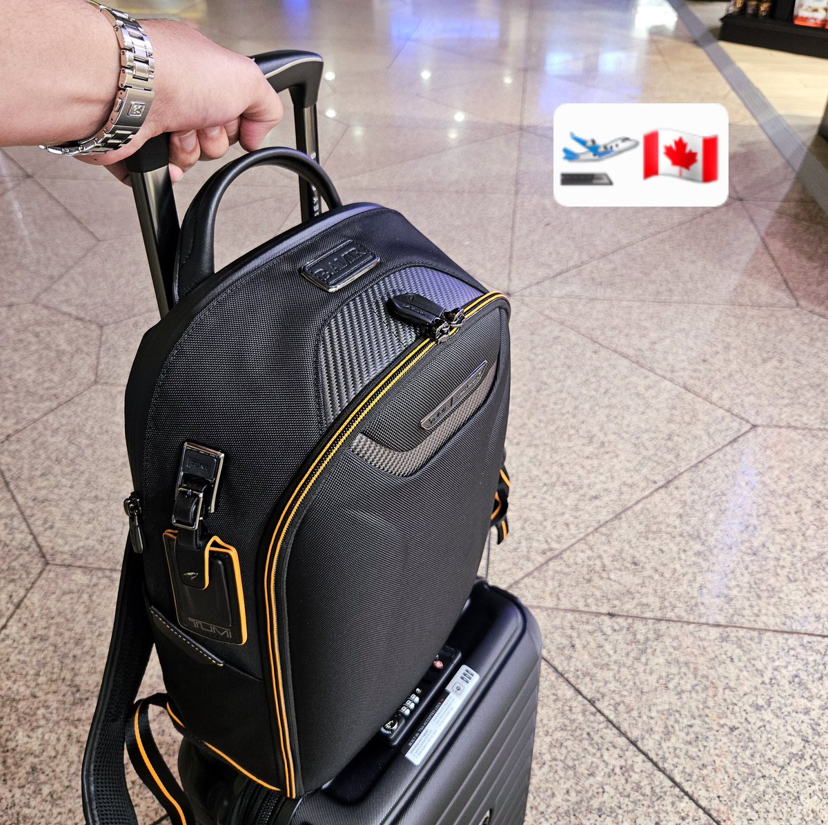 Baraa Amir - براء أمير 🩺 tweet media