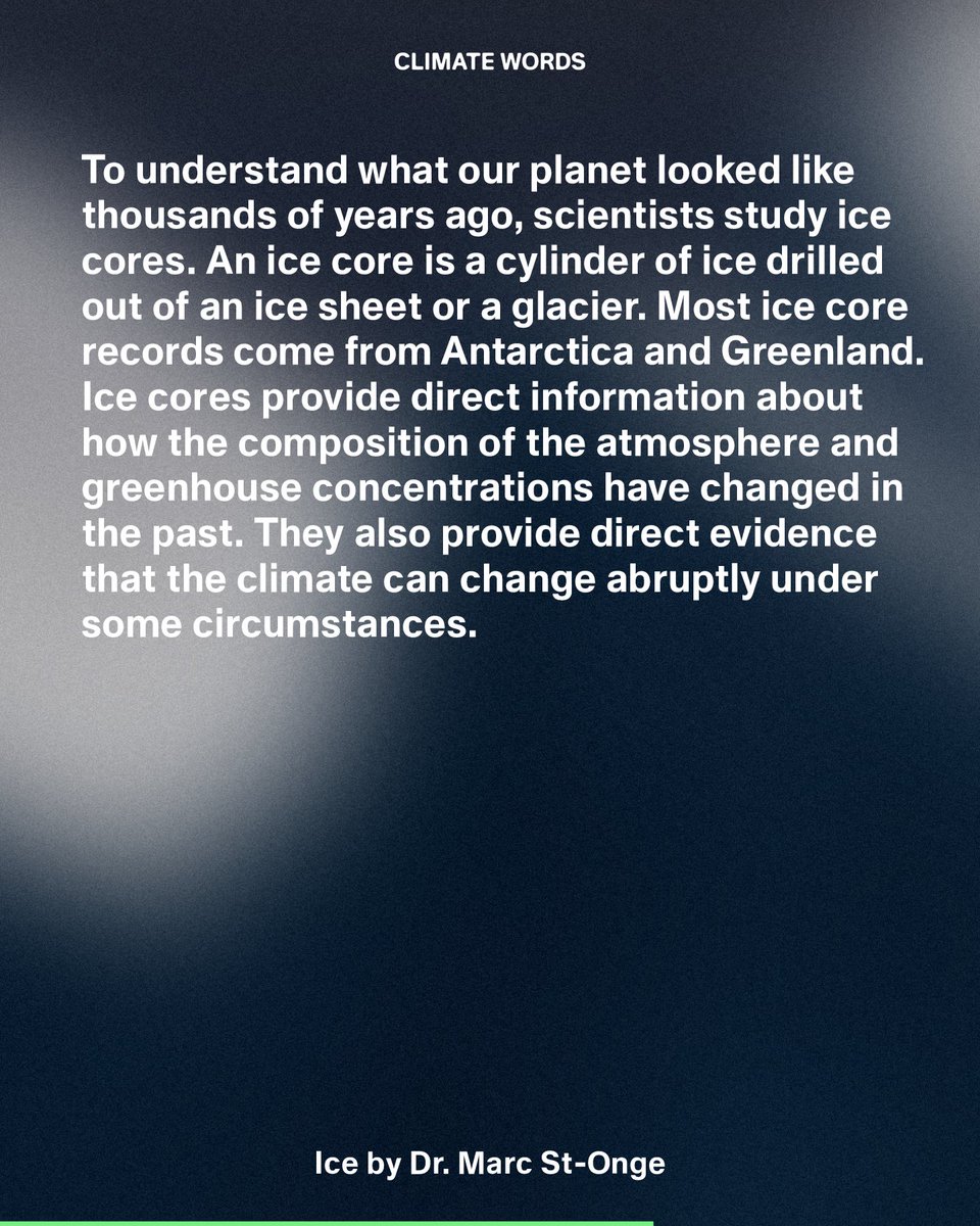 climatewords tweet media