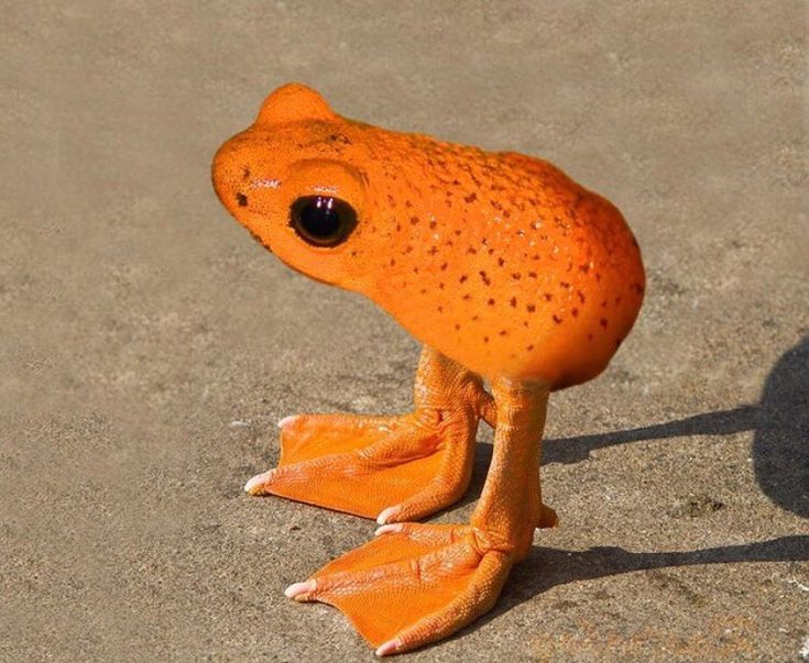 Delta6870 tweet media