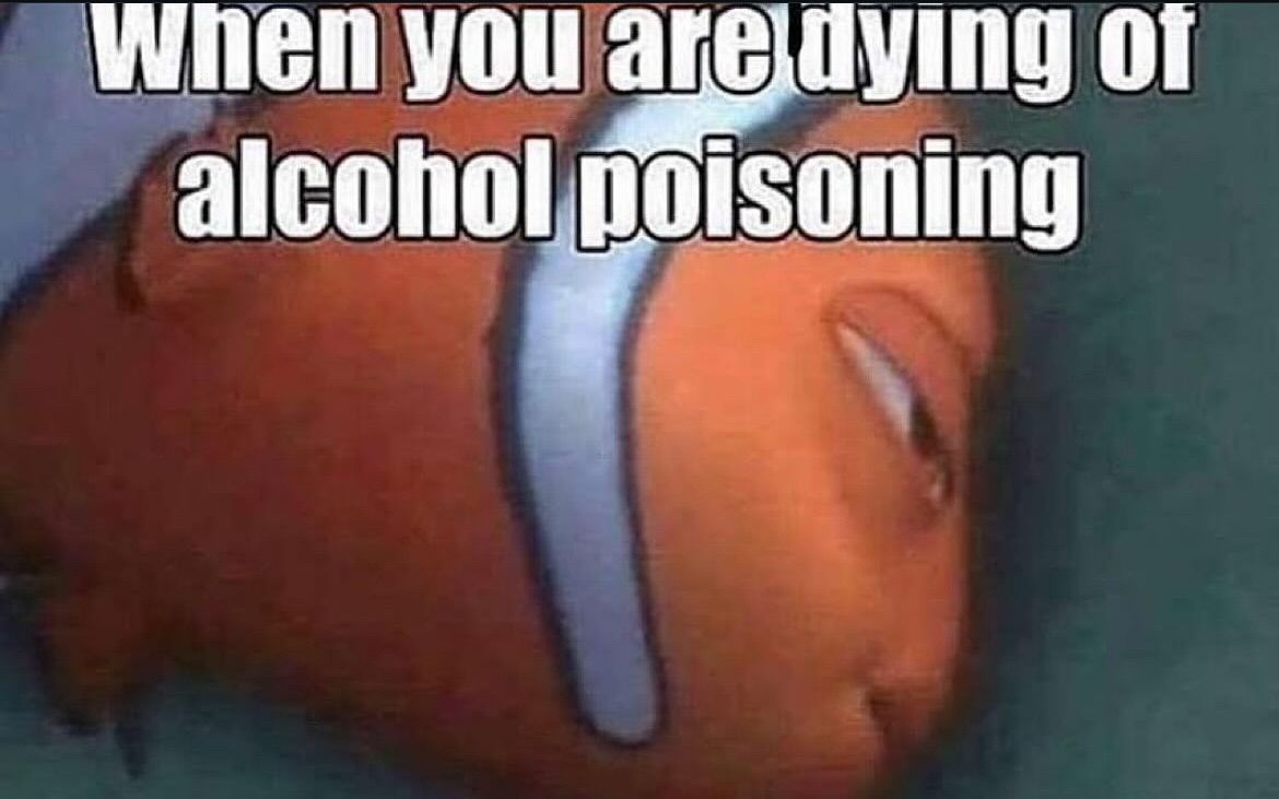 🕐HOURLY🕑 shitpost (@hourly_shitpost) on Twitter photo 