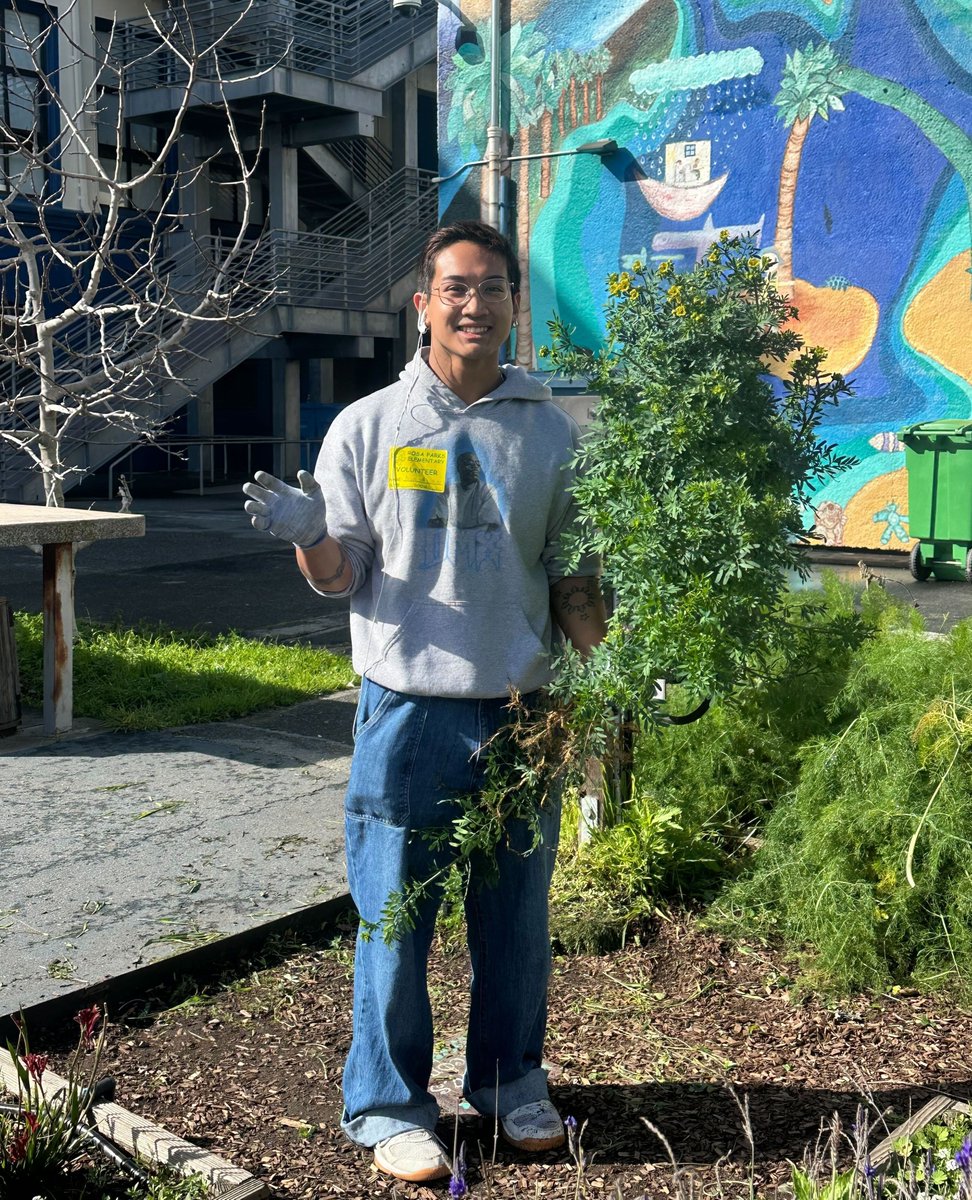 Another amazing garden workday at Rosa Parks! 🌱✨ We tackled some weeding, harvested a massive cabbage head, and even discovered cabbage moths in their cocoons! 🥬🦋 Every day is an adventure in the garden! #GardenMagic #CommunityGrows