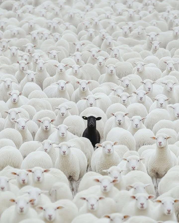 Xandre RL (@xandrerl) on Twitter photo 