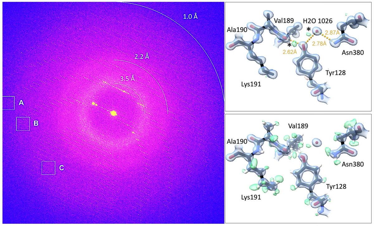 Mike Martynowycz (@sciencemick) on Twitter photo Our latest work shows how energy filtering, PFIB, and direct electron detection unlock sub-atomic resolution for #MicroED! 🎯
Great work from <a href="/maxclabbers/">Max Clabbers</a> and JohanHattne back when I was with <a href="/gonenlab/">Tamir Gonen</a> at <a href="/BC_UCLA/">UCLA Biological Chemistry</a>. Excited to bring this capability to <a href="/UBuffalo/">UBuffalo</a>! Our latest work shows how energy filtering, PFIB, and direct electron detection unlock sub-atomic resolution for #MicroED! 🎯
Great work from <a href="/maxclabbers/">Max Clabbers</a> and JohanHattne back when I was with <a href="/gonenlab/">Tamir Gonen</a> at <a href="/BC_UCLA/">UCLA Biological Chemistry</a>. Excited to bring this capability to <a href="/UBuffalo/">UBuffalo</a>!