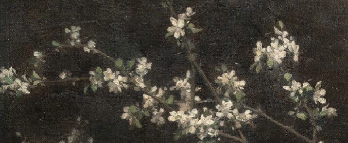 ََ (@invertedly) on Twitter photo 