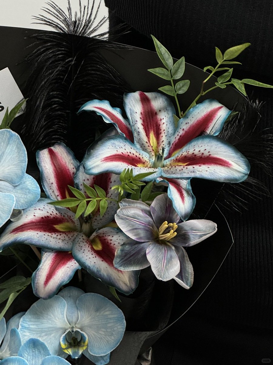 Nooni (@chaarpaai) on Twitter photo 