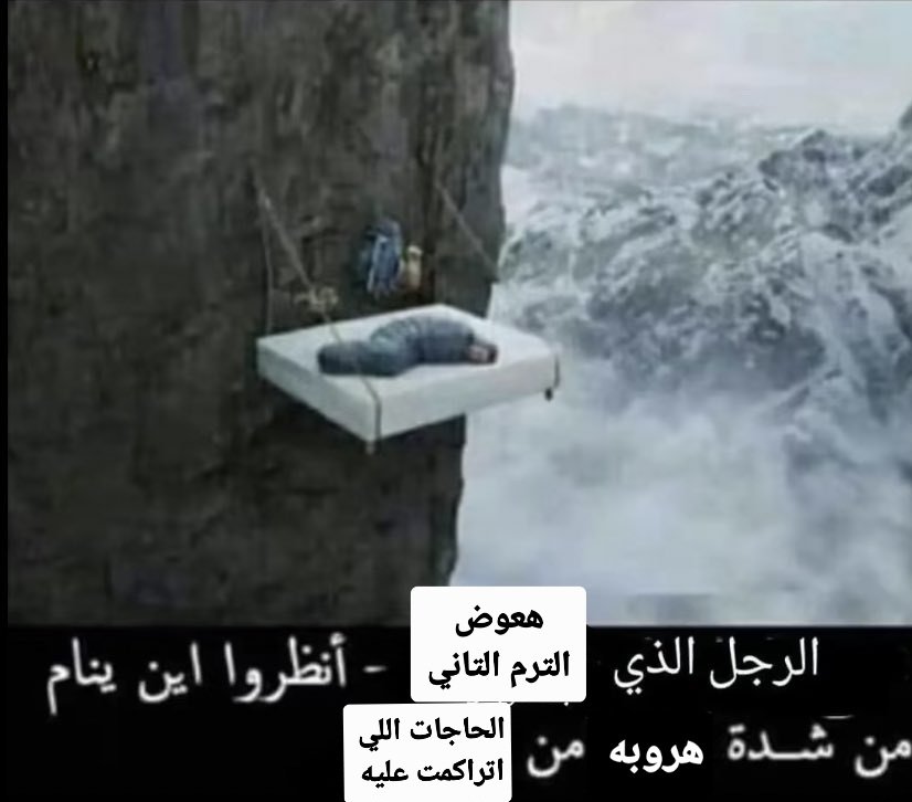 تَرتِـيلاا الغاضبة. 😡🐢 (@_hopeless_case_) on Twitter photo 