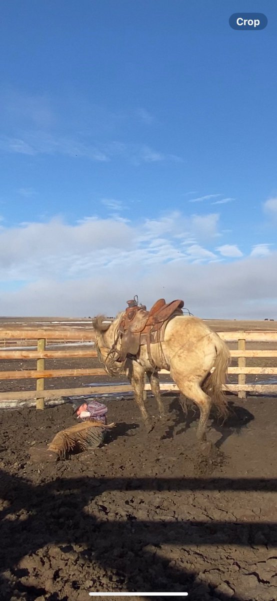 Didn’t lose my dart tho 🚬