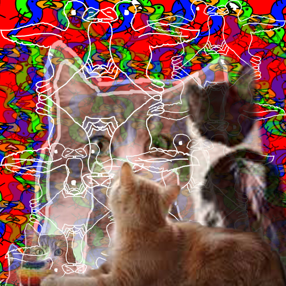 saidhassan53254's tweet image. Trade cats zora.co/coin/base:0x0e… #cryptocollection#nft for sale#digital art#🦩🕊️🦆🪿🦢