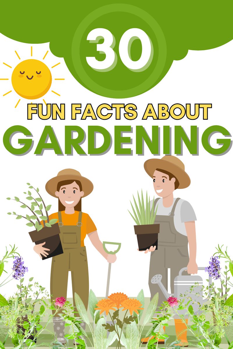 30 Fun Facts About Gardening shopwithmemama.com/fun-facts-abou… #funfactsaboutgardening #funfacts #gardens #garden #gardeningfacts #gardening #gardenfacts #gardenfacts #vegetablegardens #vegetablegarden #gardeningtips #gardentips #plants #planting #flowergarden #flowers #flowergardens