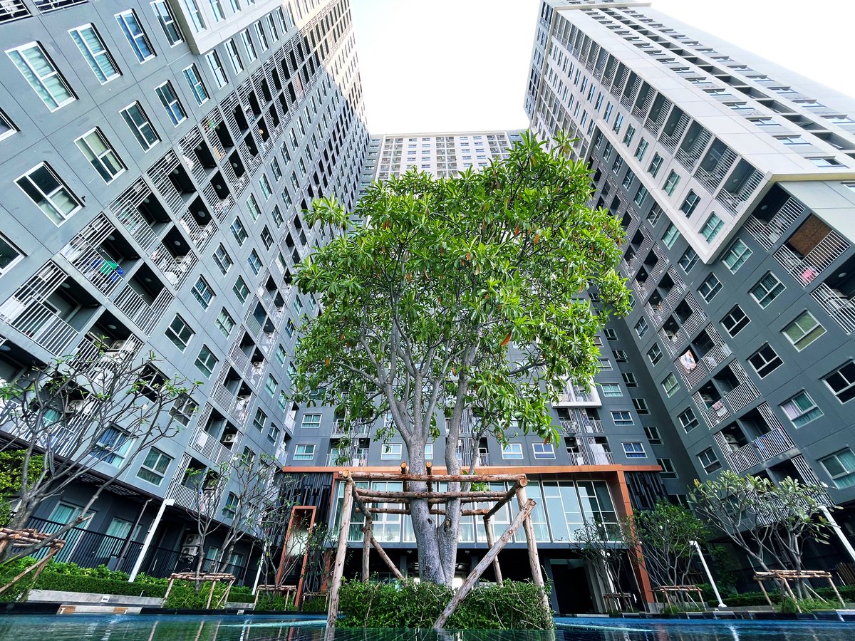 Snap with matcha #untildawn