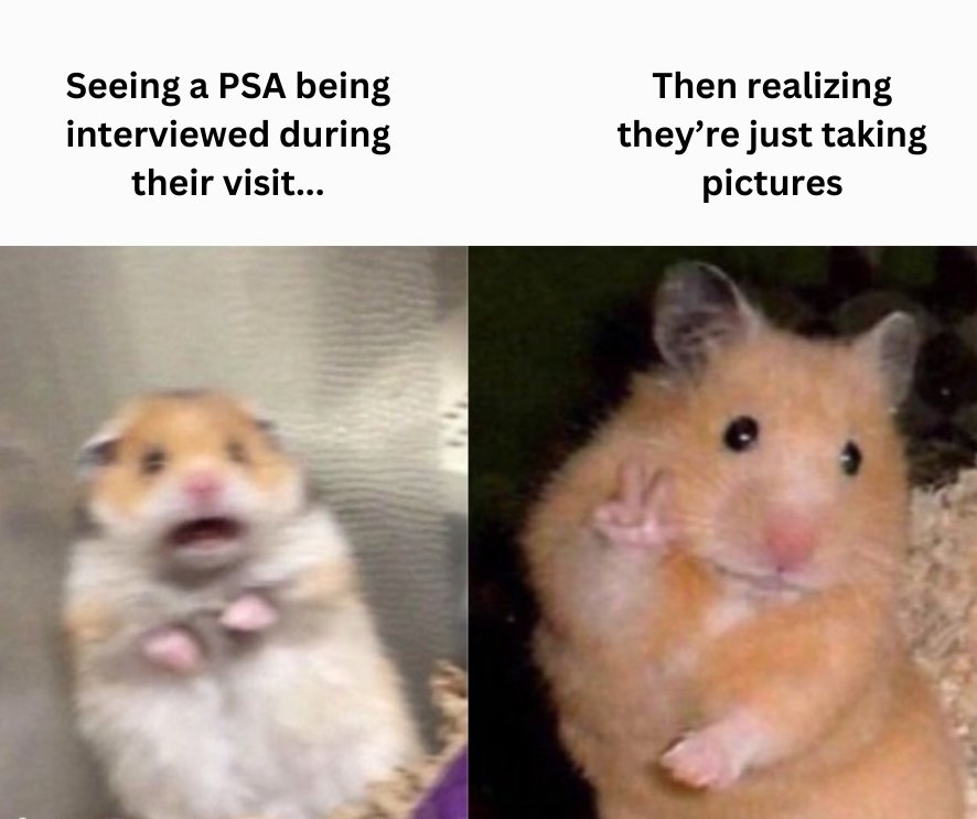 PSAs cannot be interviewed or involved in any media activity (podcasts, radio / TV programs, social media livestreams) that a coach or athletic staff member has part in conducting or participating in. 

They are permitted to be photographed for permissible promotional purposes.