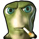 feiipito tweet media