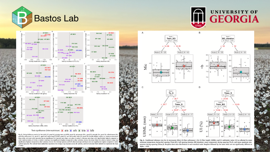 🚨Article alert: Cotton lint yield and quality variability in Georgia, USA: Understanding genotypic and environmental interactions.🔓 open access here: tinyurl.com/3nu35t9a