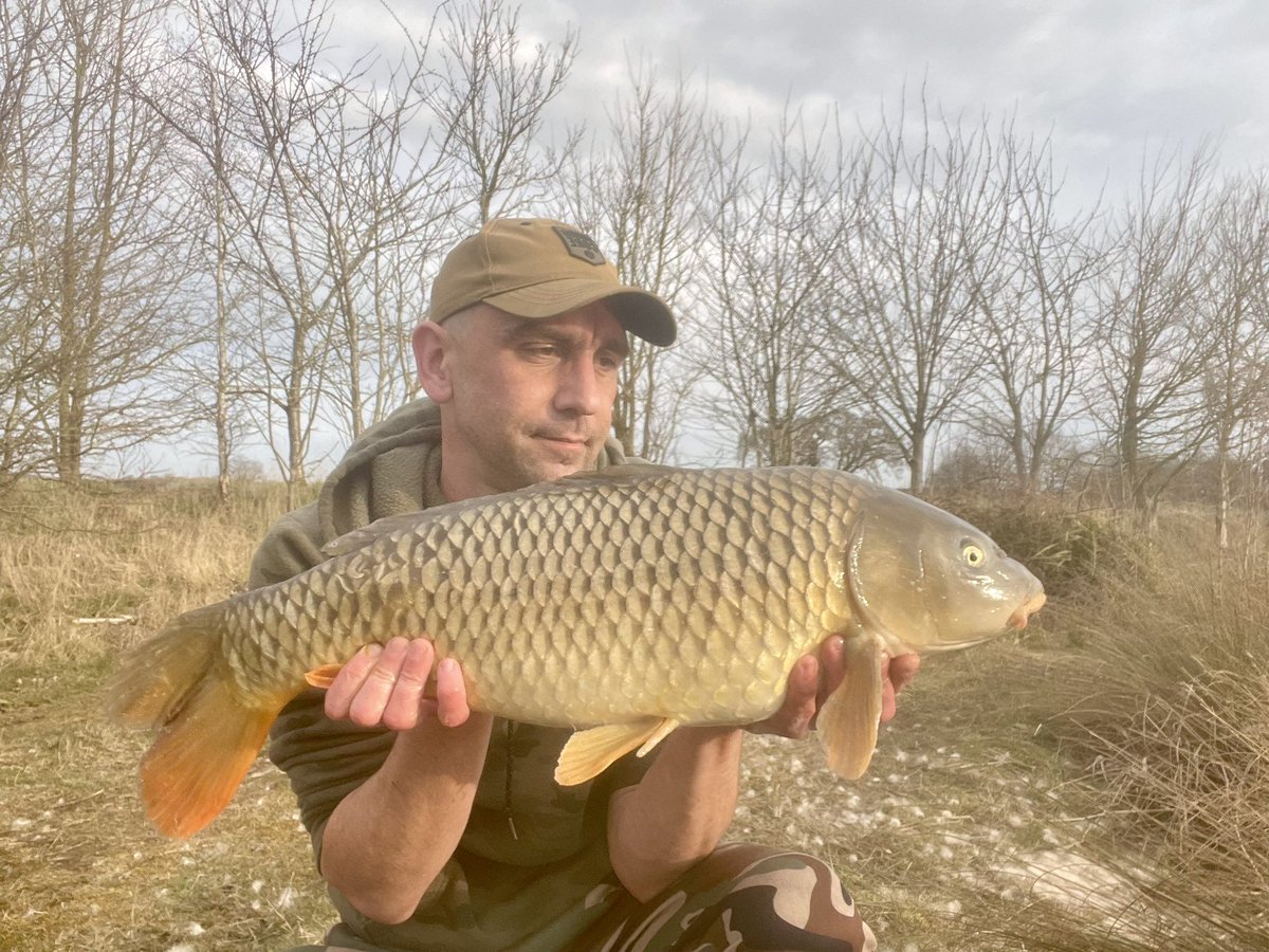 #Spring is certainly in the air, 2.30 u til 6.30 pm fishing today with carp ripping up the margins and slowly cruising the upper layers I managed 2 commons this being the best of them and a repeat capture
#carp #commoncarp #fishing #carpfishing #fishingtrip  #teamscalesandtails