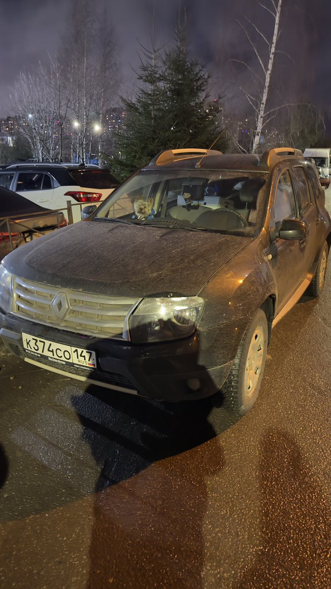 лен область(новое девяткино) полтора часа назад, проходя мимо, увидели запертую в машине собачку, сейчас вернулись, она все еще там.( что делать в таких случаях, звонить в полицию? жалко ужасно, неясно, сколько она уже там находится, на улице очень холодно