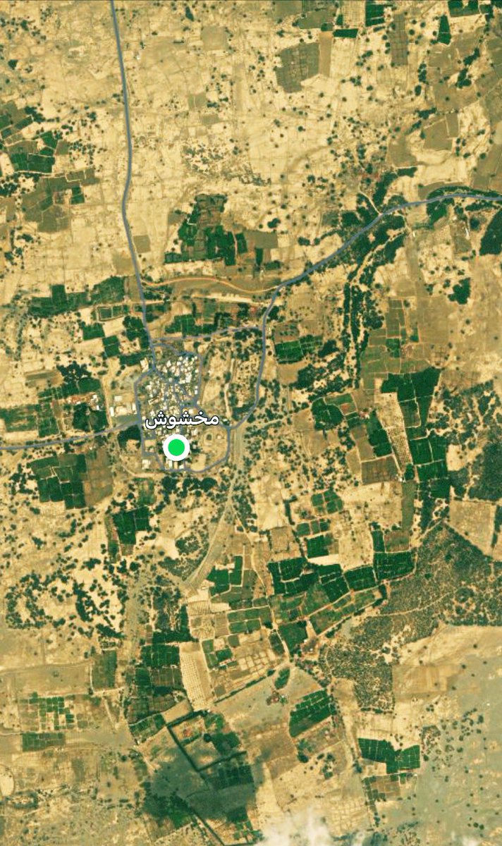 محمدالكناني ابو لانا tweet media