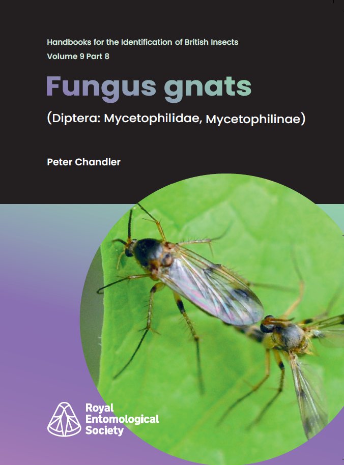Insect Conservation and Diversity (@insectdiversity) on Twitter photo 📢 <a href="/RoyEntSoc/">Royal Entomological Society</a> is seeking a new Series Editor to oversee the continued growth of the RES #InsectIdentification Handbooks📚
Applications for the role are welcome from #insect #taxonomists with expertise in any taxa. Closing date March 17.
Further info🔽
royensoc.co.uk/opportunities/… 📢 <a href="/RoyEntSoc/">Royal Entomological Society</a> is seeking a new Series Editor to oversee the continued growth of the RES #InsectIdentification Handbooks📚
Applications for the role are welcome from #insect #taxonomists with expertise in any taxa. Closing date March 17.
Further info🔽
royensoc.co.uk/opportunities/…