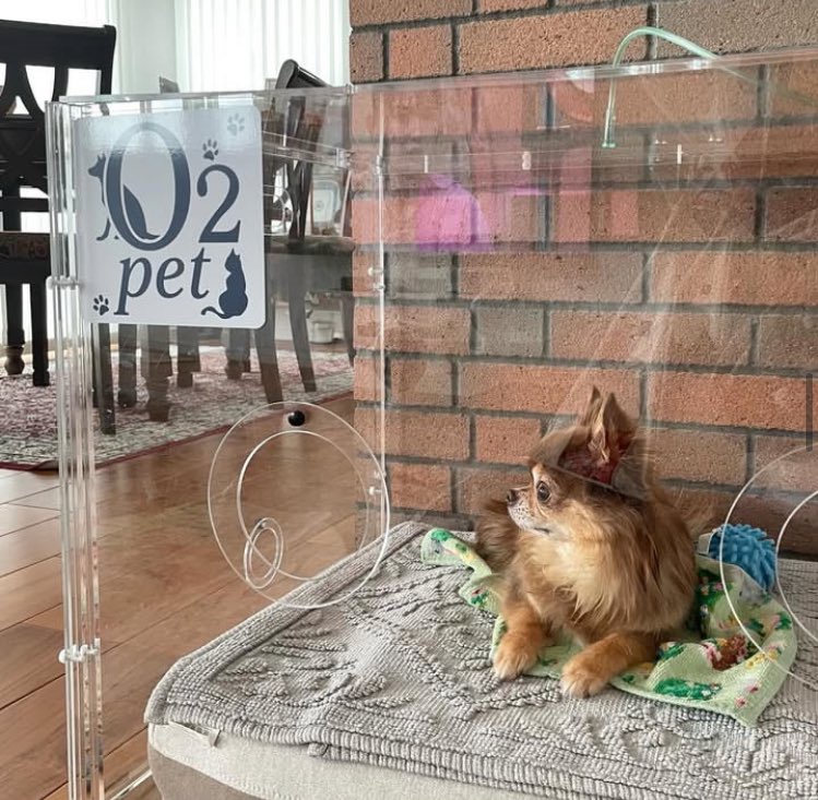 O2pet アクリルペット用酸素ケージ O2pet アクリルペット用酸素ケージ