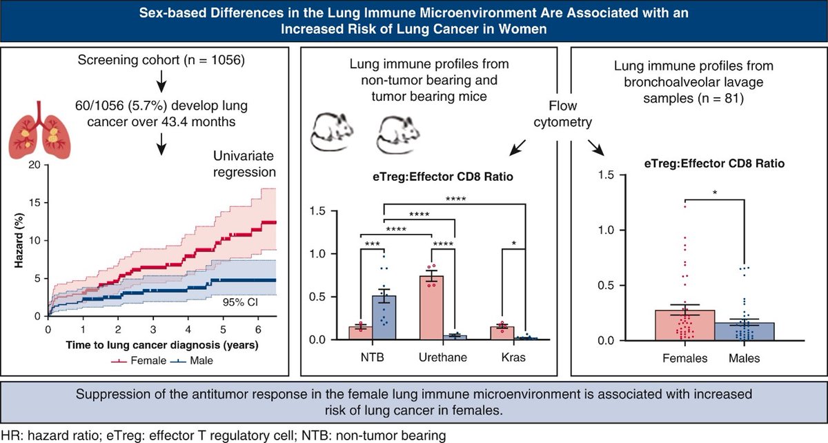 AATS (@aatshq) on Twitter photo Researchers at <a href="/RoswellPark/">Roswell Park</a> found sex-based differences in the lung immune microenvironment are associated with an increased risk of #lungcancer in women. Read what surgeons can do to understand this link and better care for female patients in #JTCVS: doi.org/10.1016/j.jtcv… Researchers at <a href="/RoswellPark/">Roswell Park</a> found sex-based differences in the lung immune microenvironment are associated with an increased risk of #lungcancer in women. Read what surgeons can do to understand this link and better care for female patients in #JTCVS: doi.org/10.1016/j.jtcv…