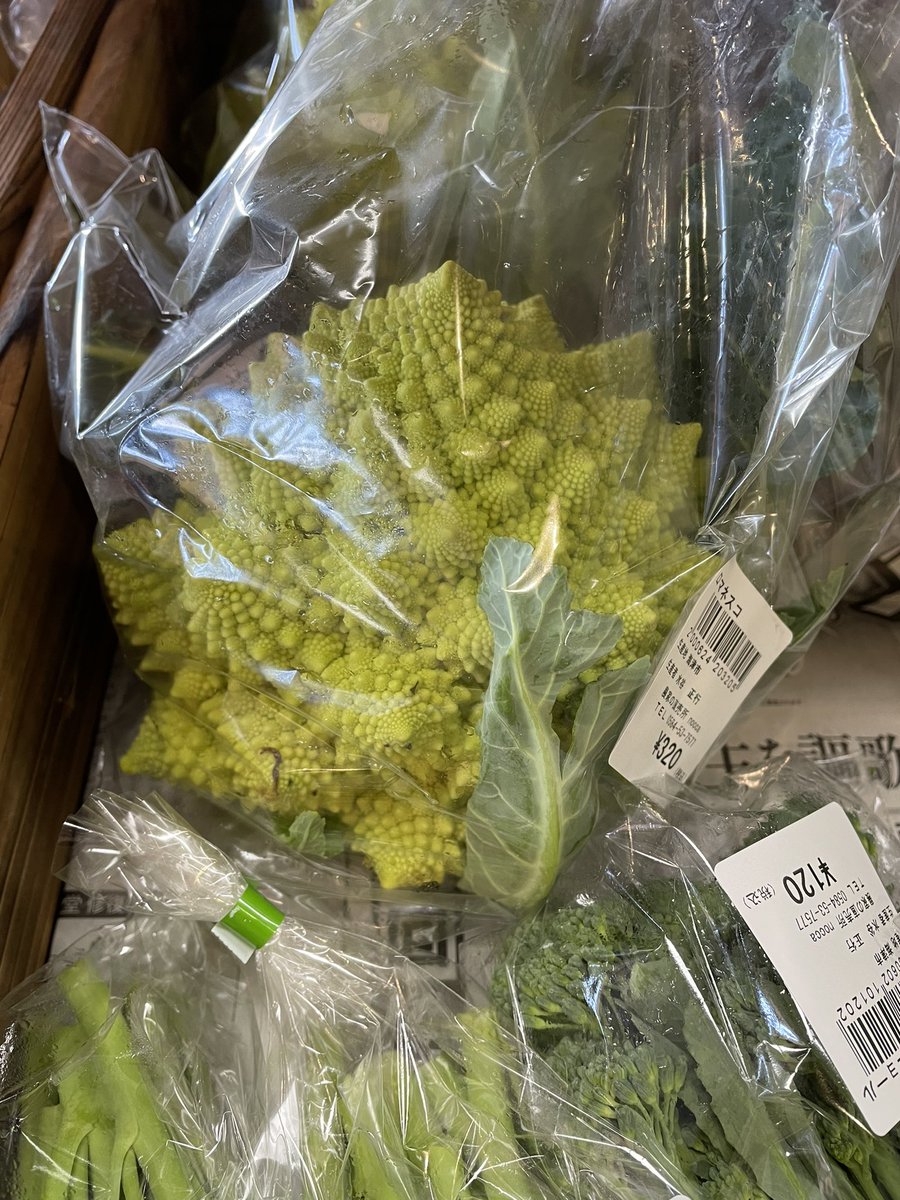 fukue_fukue's tweet photo. お野菜、果物たくさん入荷しています🍊🥬🥦
#nocca #海津 #木曽三川公園 #農家 https://t.co/amzo63SApD