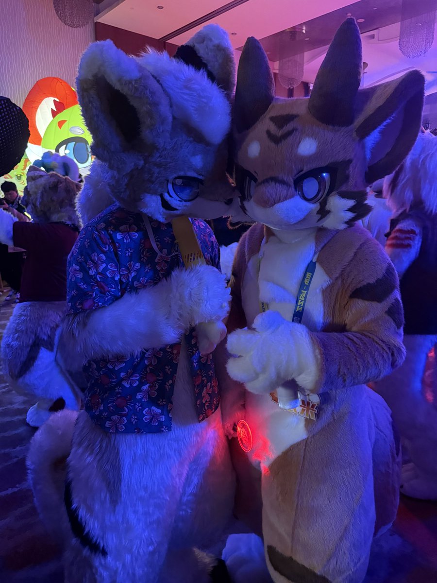 嘀嘀咕咕，感觉一顿能吃好几个小孩
#FursuitFriday
帅柴：<a href="/Pidandan__OvO/">EggEgg～</a> 
📷：<a href="/cha_ze_dxyg/">茶泽</a>