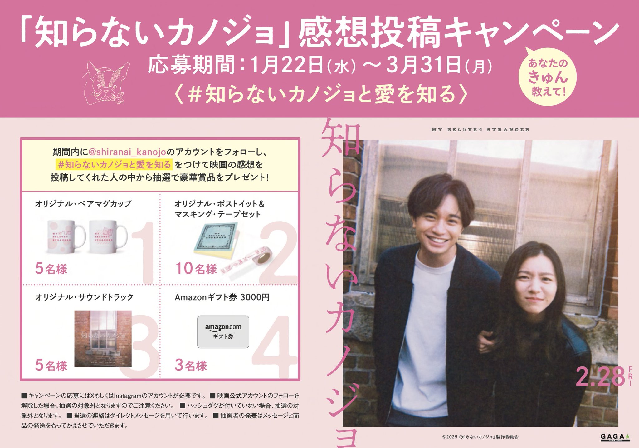 映画『知らないカノジョ』公式 on X: 