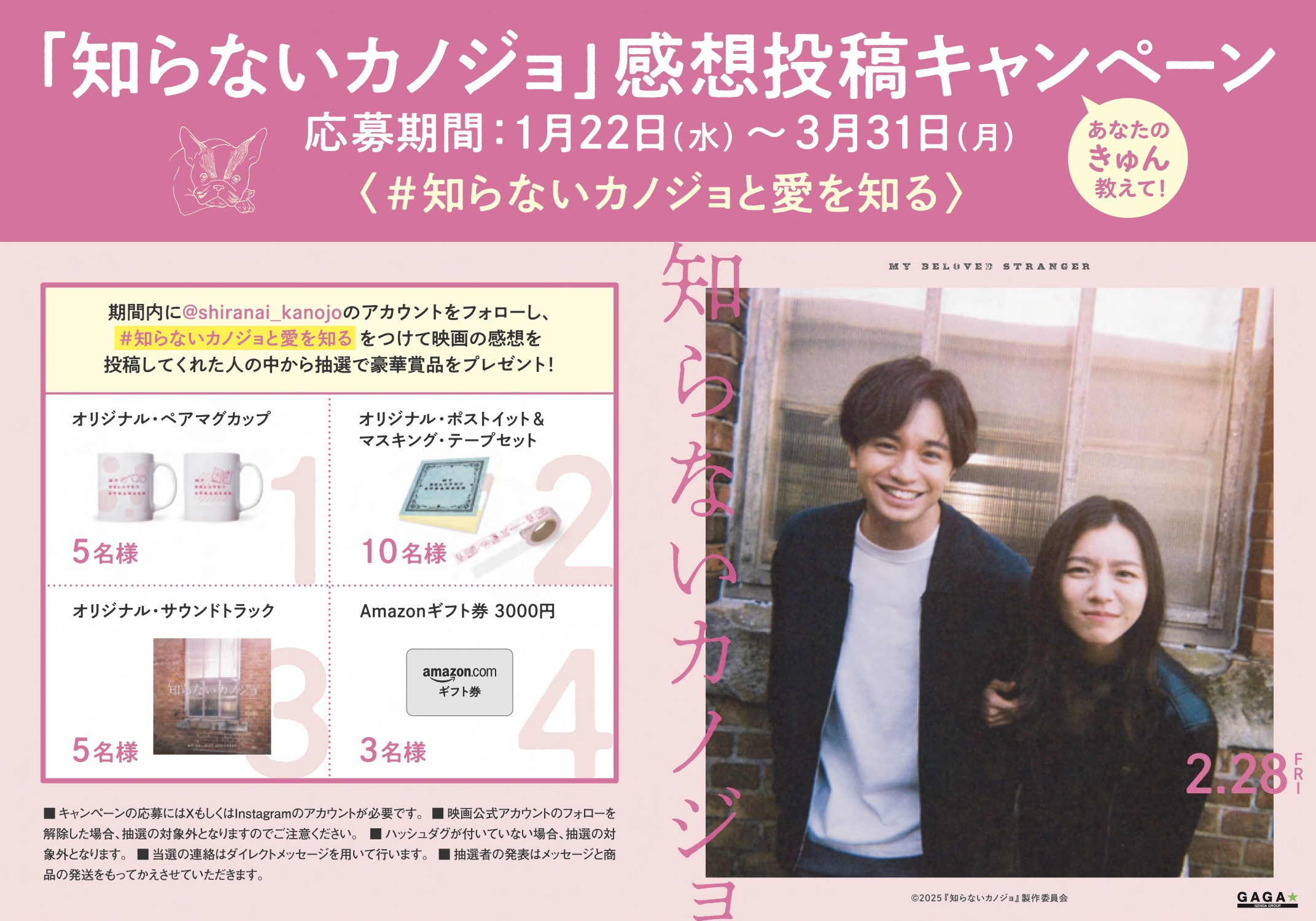 【知らないカノジョ】コレクターズ・エディション('25映画)【僕は妹に恋をする】 81wuM1XXG3L._AC_UF894,