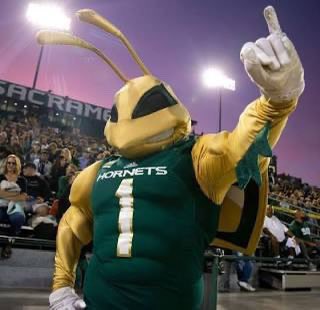 Cordell Radcliffe (@cordellrad26) on Twitter photo Im glad to receive my first division 1 offer from Sac state @BRENNANMARION4
@GMSACSTATEFB
@COACHDREAKES
<a href="/Coach_JoeyMoss/">Coach Joey Moss</a>
@COACHMARSHAWN
<a href="/CJPollard1/">C.J. Pollard</a>
<a href="/aliyah_walker_/">Aliyah walker</a> Im glad to receive my first division 1 offer from Sac state @BRENNANMARION4
@GMSACSTATEFB
@COACHDREAKES
<a href="/Coach_JoeyMoss/">Coach Joey Moss</a>
@COACHMARSHAWN
<a href="/CJPollard1/">C.J. Pollard</a>
<a href="/aliyah_walker_/">Aliyah walker</a>