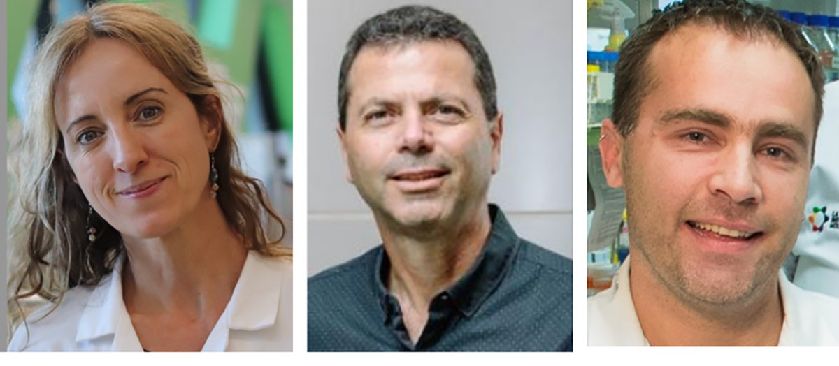 La Trobe Agriculture, Biomedicine & Environment (@sabe_latrobe) on Twitter photo 2/3 🦠🔬<a href="/BegonaHeras/">Begona Heras</a> Prof Begona Heras, Prof Mark Schembri , Dr Jason Paxman, Dr Patrick Harris, Prof Mick Foley, & Ms Julie Phillips <a href="/BiodiemLtd/">J Phillips</a> have been awarded an AEA Ignite Grant for their research on biofilm inhibitors to combat antimicrobial resistance.
A huge step toward 2/3 🦠🔬<a href="/BegonaHeras/">Begona Heras</a> Prof Begona Heras, Prof Mark Schembri , Dr Jason Paxman, Dr Patrick Harris, Prof Mick Foley, & Ms Julie Phillips <a href="/BiodiemLtd/">J Phillips</a> have been awarded an AEA Ignite Grant for their research on biofilm inhibitors to combat antimicrobial resistance.
A huge step toward