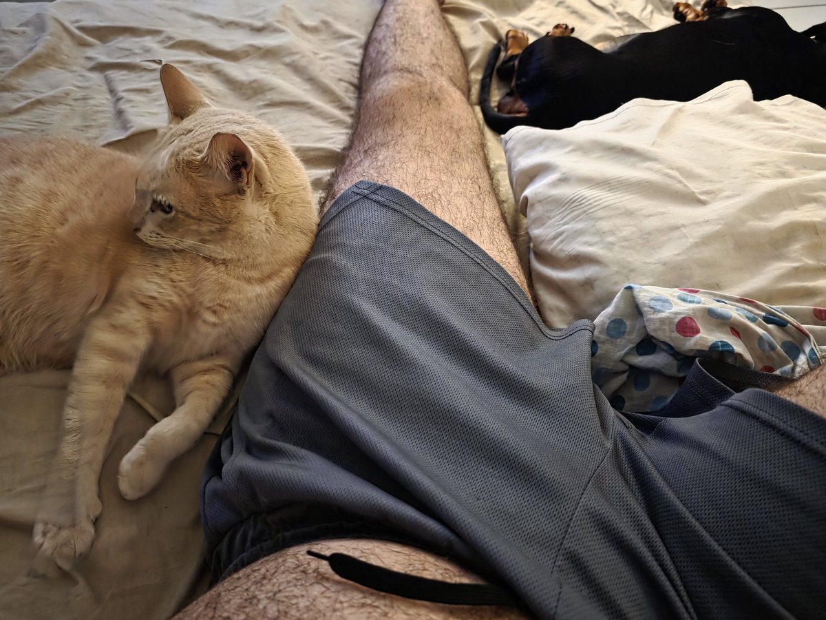 E a Shoppe hein ? tweet media