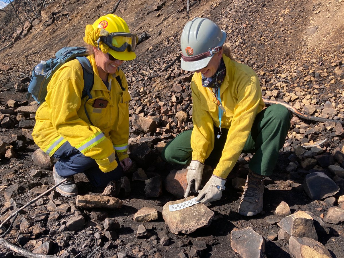 NPS Fire & Aviation (@fireaviationnps) on Twitter photo Recovery is an important step after a wildfire. For the Palisades Fire, collaboration was key! A
<a href="/USInterior/">US Dept of Interior</a> Burned Area Emergency Response Team worked with state parks and conservation groups to assess damage and plan recovery.
nps.gov/articles/000/s… Recovery is an important step after a wildfire. For the Palisades Fire, collaboration was key! A
<a href="/USInterior/">US Dept of Interior</a> Burned Area Emergency Response Team worked with state parks and conservation groups to assess damage and plan recovery.
nps.gov/articles/000/s…