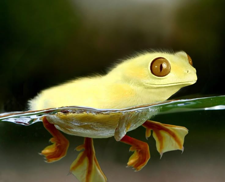 Delta6870 tweet media