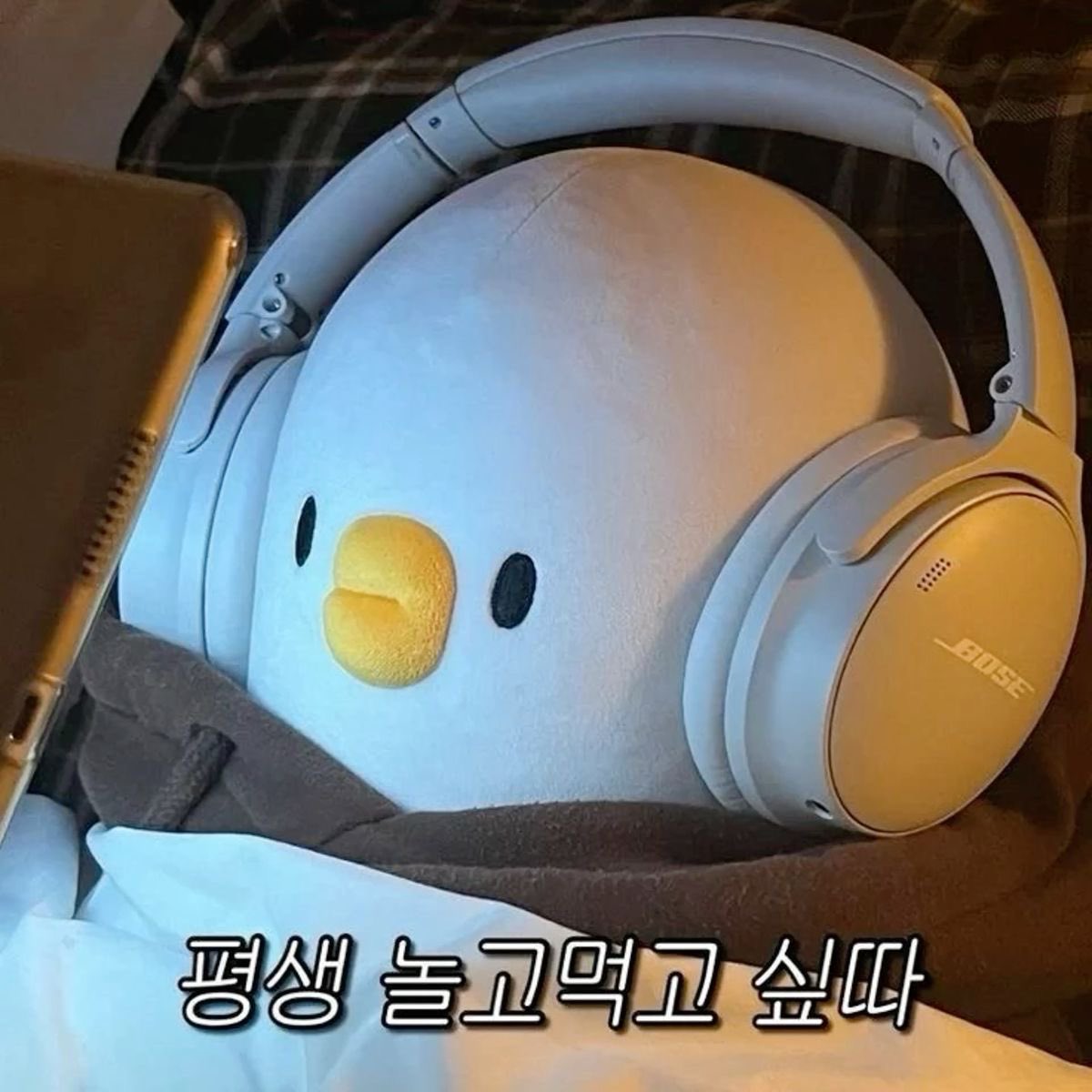 솨가 없는동안 개강해서 너무 바쁘다…
보고싶다ㅜㅜㅜㅜ솨야