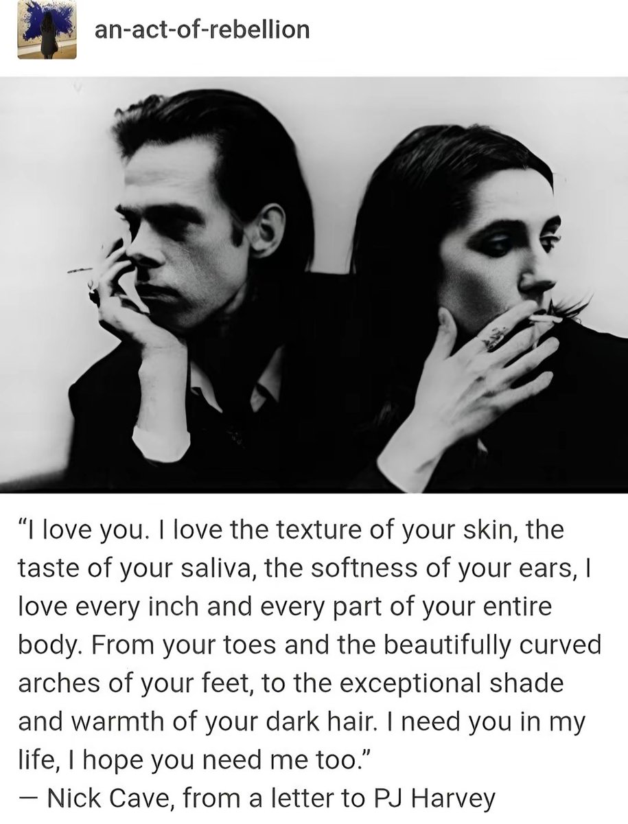 ruidocrudo's tweet image. esto es como la carta de alex turner a alexa chung para las mujeres que no nos rasuramos