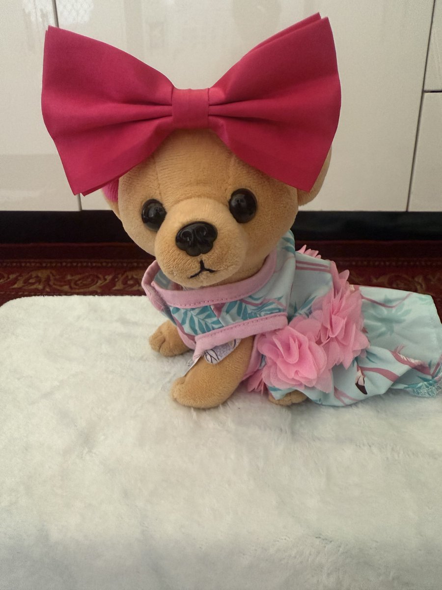 Mini_Tink_'s tweet image. My Flamingo Dress arrived! I can now twin with my Big Sister🩷
#minitink #dogsoftwitter #plushiesoftwitter