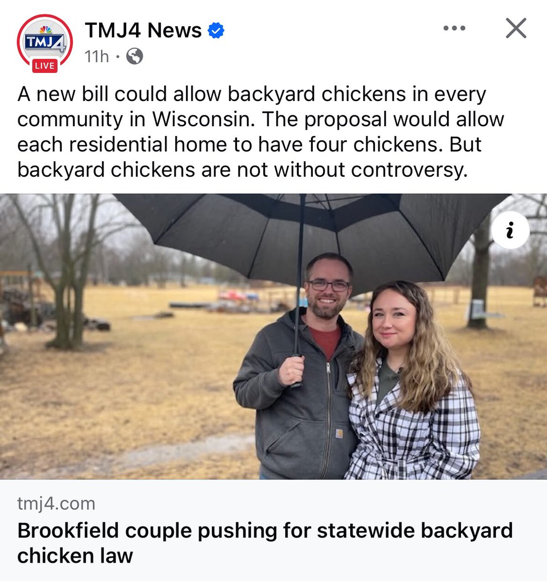 RetroRelicsShop's tweet image. 🇺🇸 A Chicken in every Backyard 🐓