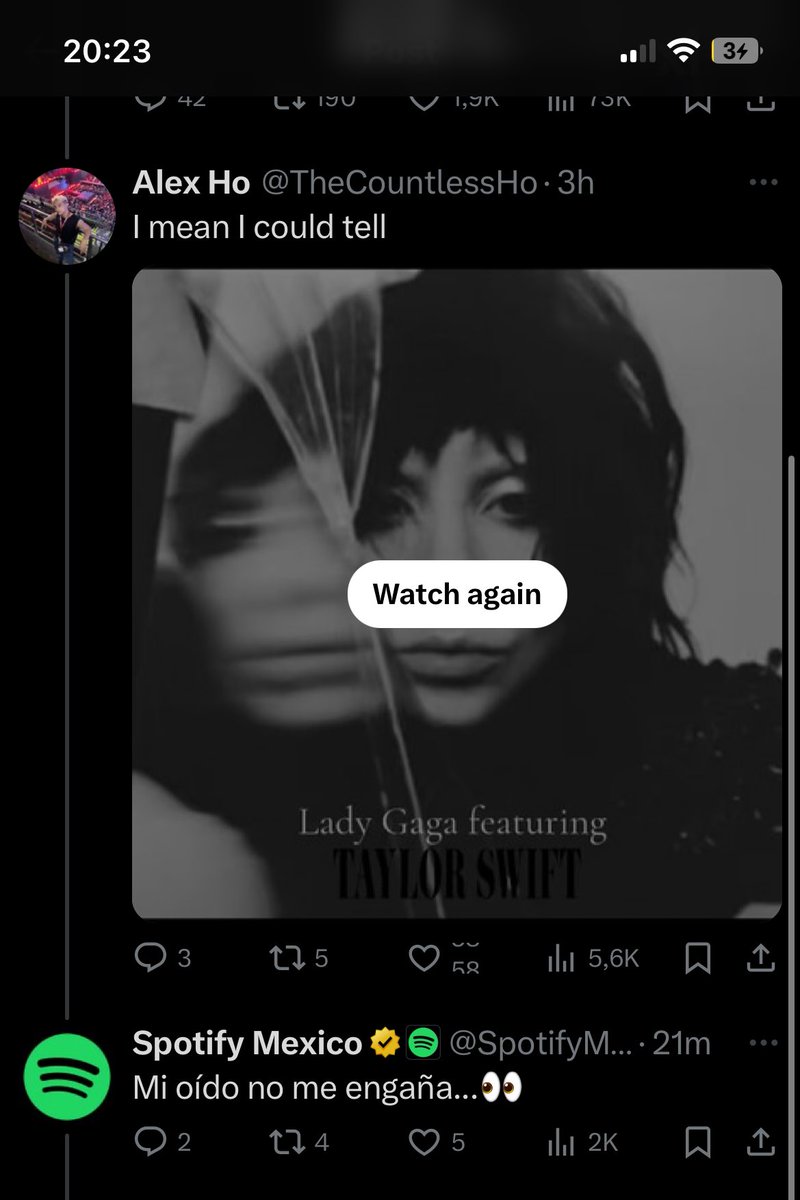 suburban lu 🧣 tweet media
