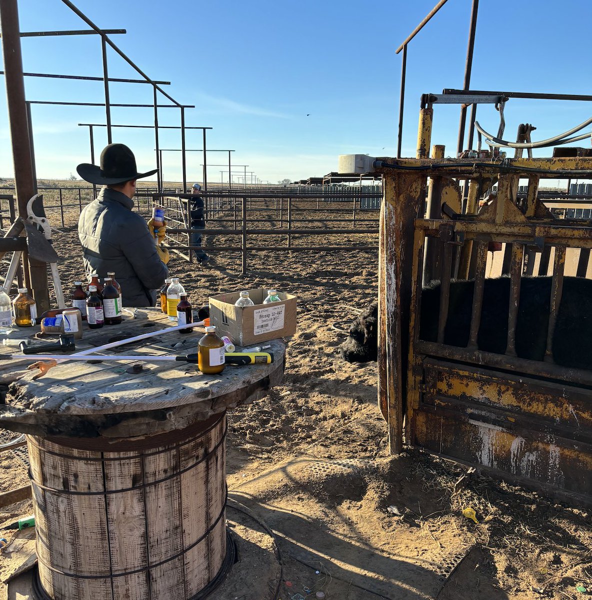 It’s never been simpler to create treatment and processing protocols.  Easily create, dose, and deliver protocols in an automated format that your team will love.