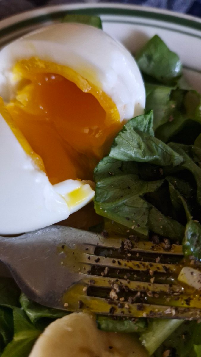 커피. 아님. 보이차