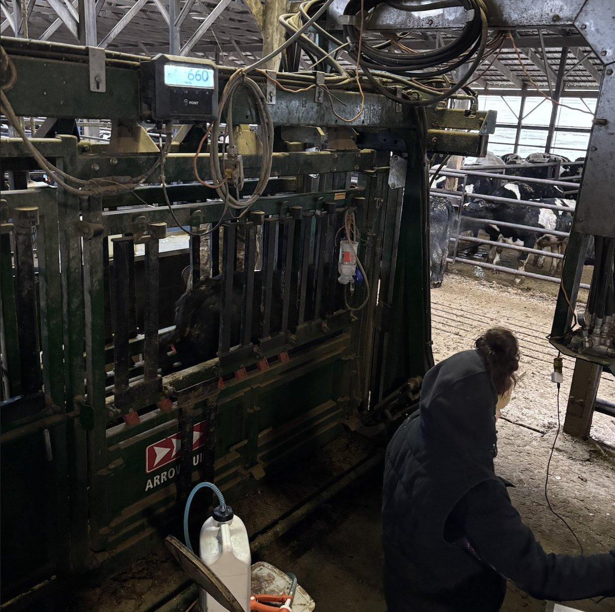 Quickly search animals, create new ones, deliver treatments and protocols, and move cattle from our chuteside screen. Move away from pen and paper chuteside